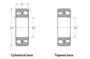 Speed reducer bearings